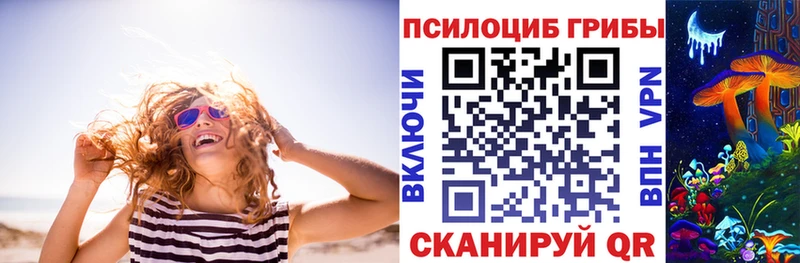 ОМГ ОМГ рабочий сайт  Венёв  Псилоцибиновые грибы MAGIC MUSHROOMS 