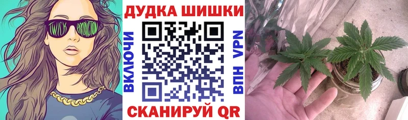 Бошки марихуана Amnesia  дарнет шоп  Венёв 